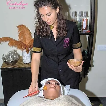 Cataleya & Notaresco